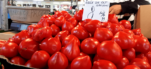 Rosiile de Izbiceni, vedete pe platoul Halelor Centrale din Ploiesti