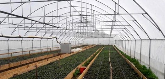 Pasul decisiv ca detinatorii de solarii din Dabuleni sa primeasca ajutor de minimis